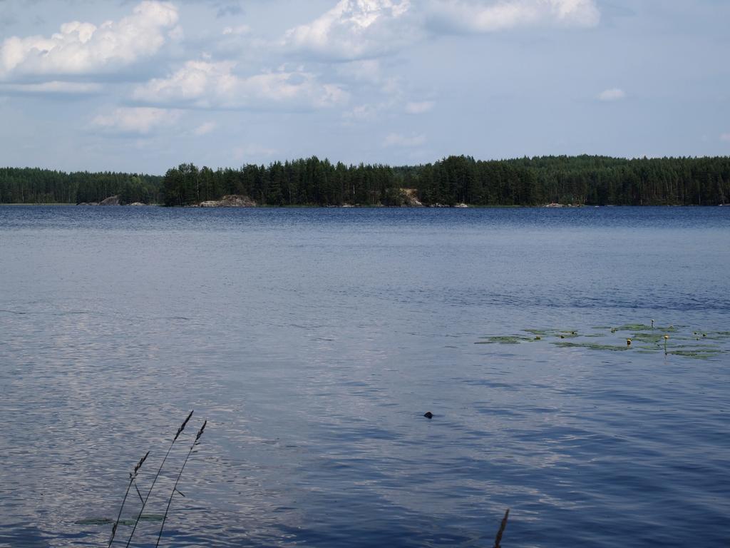 Kuoreksenniemi Villas & Lakehouse 普马拉 外观 照片