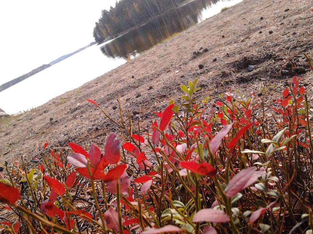 Kuoreksenniemi Villas & Lakehouse 普马拉 外观 照片