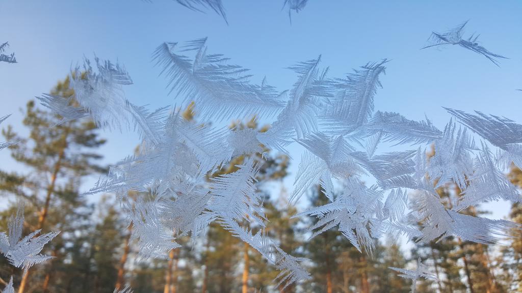 Kuoreksenniemi Villas & Lakehouse 普马拉 外观 照片